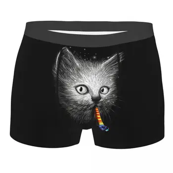 Kedi Slurp Parti Külot Pamuk Külot erkek İç Çamaşırı Rahat Şort Boxer Külot