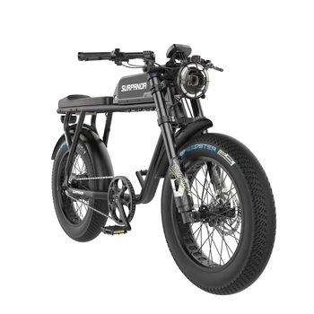 SURPANDA Elektrikli Bisiklet Ebike 20 İnç Lastik 1000W fırçasız motor 48V Lityum Motosiklet Kentsel Latte UL100 Pro Serisi