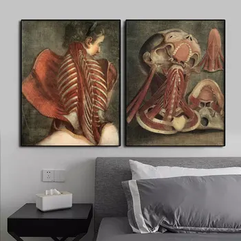 Onun ve Onun Kadavra Posteri Antika Anatomi Resim Tuval Üzerine Baskı Boyama Vintage Duvar Sanatı Tıbbi Diyagramlar Ev Dekor Hediye